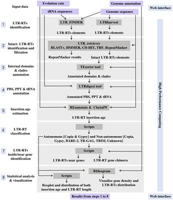 MegaLTR: a web server and standalone pipeline for detecting and annotating LTR-retrotransposons in plant genomes